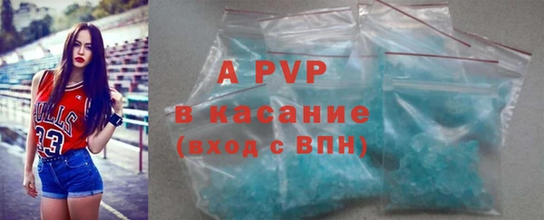 прущие грибы Липки