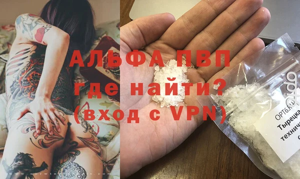 ГАЛЛЮЦИНОГЕННЫЕ ГРИБЫ Фёдоровский