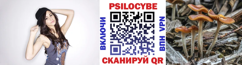 Купить  Можайск  Псилоцибиновые грибы Cubensis 